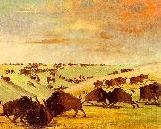 George Catlin Buffalo Bulls Fighting in Running Season-Upper Missouri oil painting
